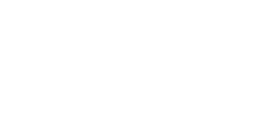 AVE_LOGO_Wit